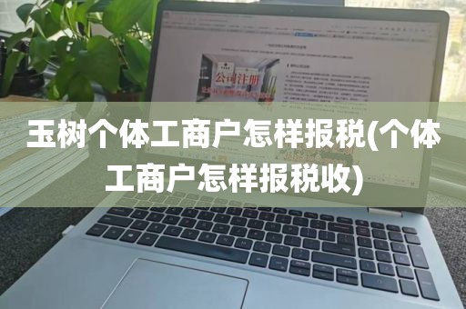 玉树个体工商户怎样报税(个体工商户怎样报税收)