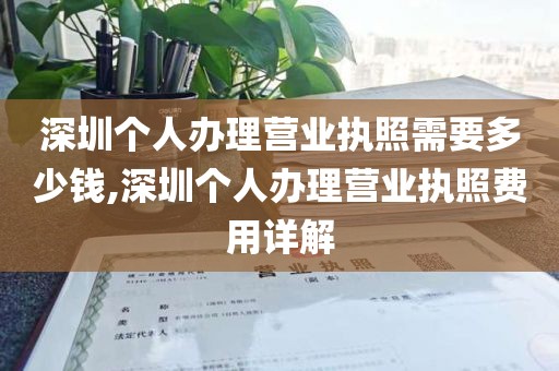 深圳个人办理营业执照需要多少钱,深圳个人办理营业执照费用详解