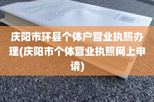 庆阳市环县个体户营业执照办理(庆阳市个体营业执照网上申请)