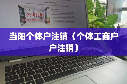 当阳个体户注销（个体工商户户注销）