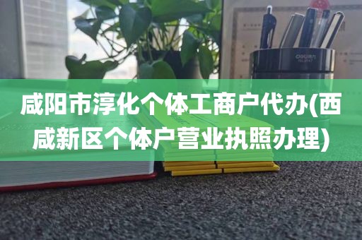 咸阳市淳化个体工商户代办(西咸新区个体户营业执照办理)