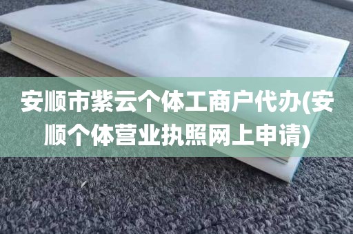 安顺市紫云个体工商户代办(安顺个体营业执照网上申请)