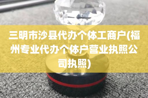 三明市沙县代办个体工商户(福州专业代办个体户营业执照公司执照)