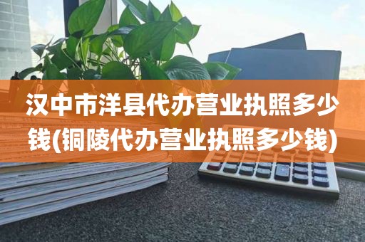 汉中市洋县代办营业执照多少钱(铜陵代办营业执照多少钱)