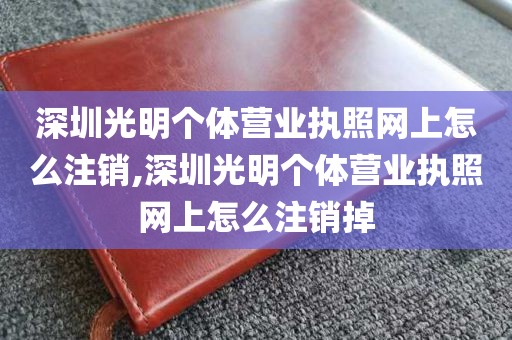 深圳光明个体营业执照网上怎么注销,深圳光明个体营业执照网上怎么注销掉