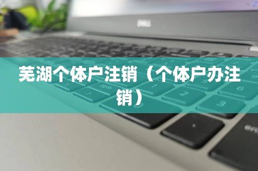 芜湖个体户注销（个体户办注销）