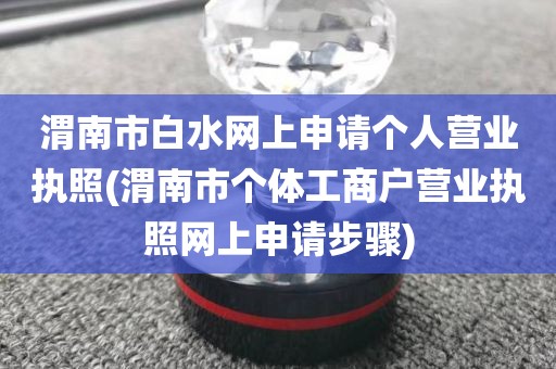 渭南市白水网上申请个人营业执照(渭南市个体工商户营业执照网上申请步骤)