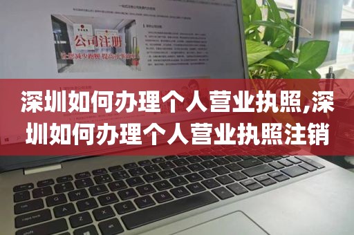 深圳如何办理个人营业执照,深圳如何办理个人营业执照注销