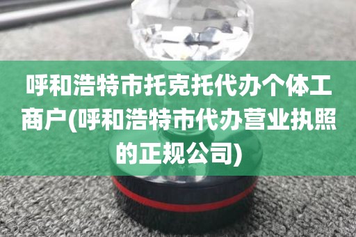 呼和浩特市托克托代办个体工商户(呼和浩特市代办营业执照的正规公司)