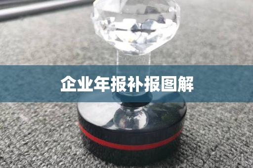 企业年报补报图解