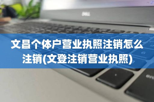 文昌个体户营业执照注销怎么注销(文登注销营业执照)