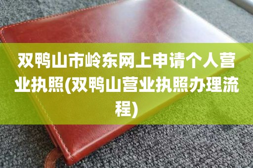 双鸭山市岭东网上申请个人营业执照(双鸭山营业执照办理流程)