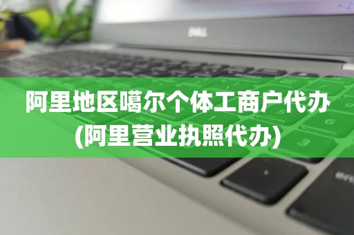 阿里地区噶尔个体工商户代办(阿里营业执照代办)