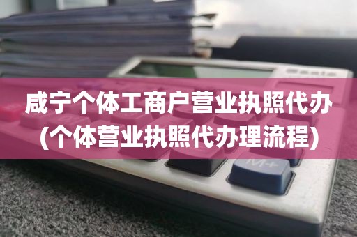 咸宁个体工商户营业执照代办(个体营业执照代办理流程)