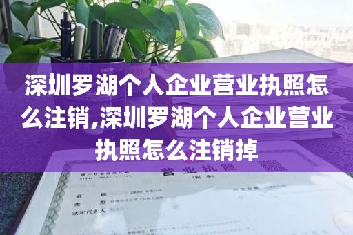 深圳罗湖个人企业营业执照怎么注销,深圳罗湖个人企业营业执照怎么注销掉