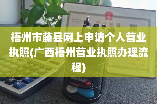 梧州市藤县网上申请个人营业执照(广西梧州营业执照办理流程)