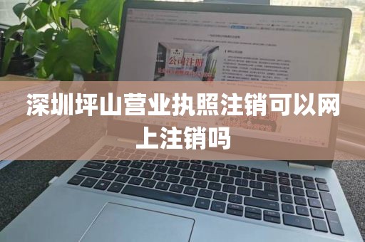 深圳坪山营业执照注销可以网上注销吗