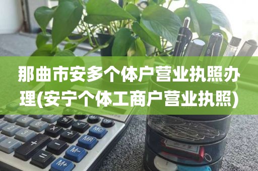 那曲市安多个体户营业执照办理(安宁个体工商户营业执照)