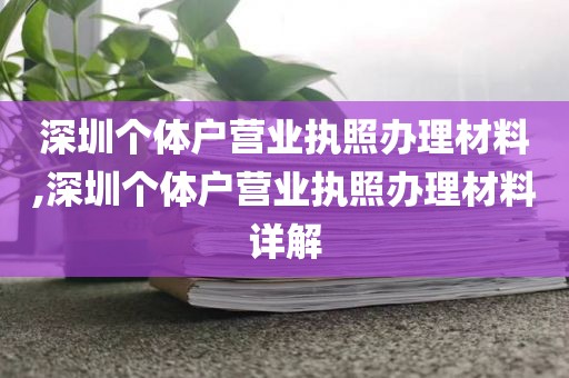 深圳个体户营业执照办理材料,深圳个体户营业执照办理材料详解