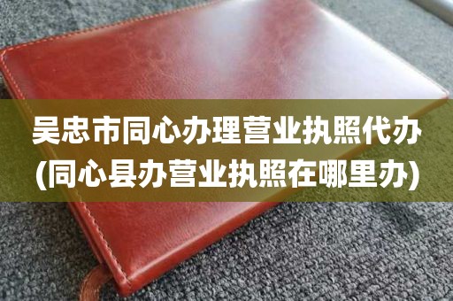 吴忠市同心办理营业执照代办(同心县办营业执照在哪里办)