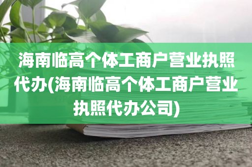 海南临高个体工商户营业执照代办(海南临高个体工商户营业执照代办公司)