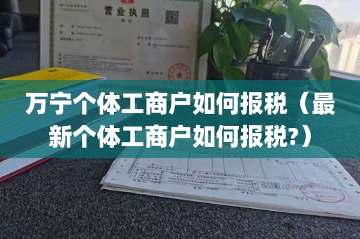 万宁个体工商户如何报税（最新个体工商户如何报税?）