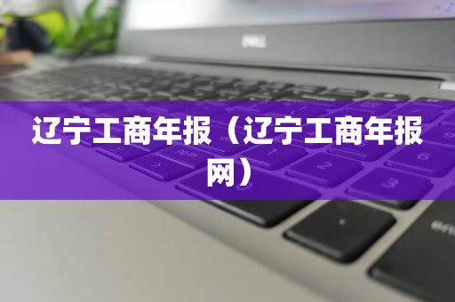 辽宁工商年报（辽宁工商年报网）