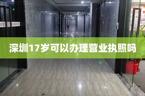 深圳17岁可以办理营业执照吗