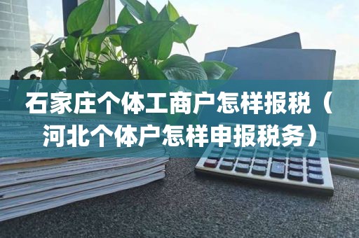 石家庄个体工商户怎样报税（河北个体户怎样申报税务）