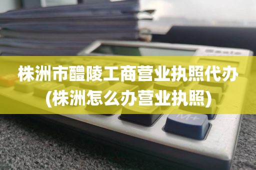 株洲市醴陵工商营业执照代办(株洲怎么办营业执照)