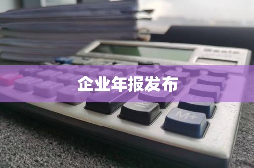 企业年报发布