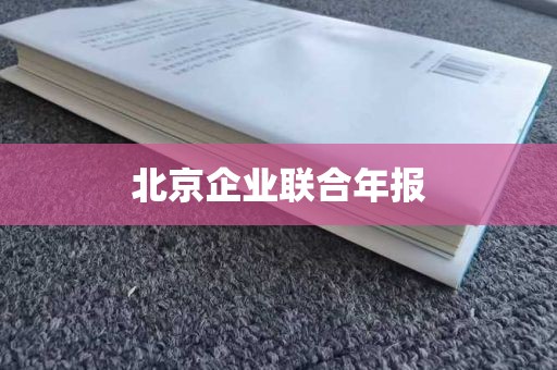 北京企业联合年报