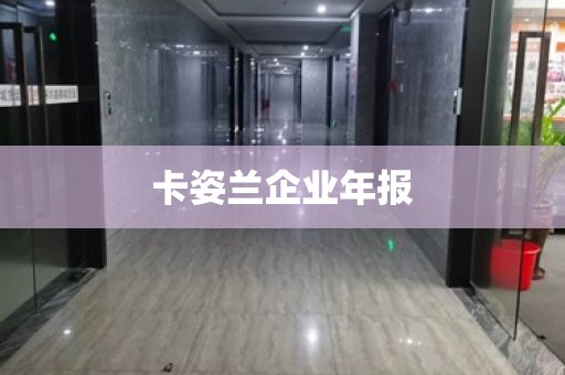 卡姿兰企业年报