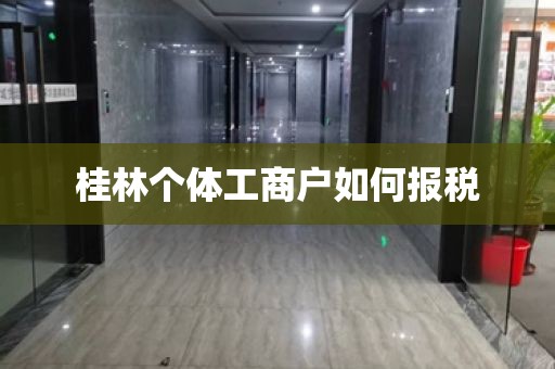 桂林个体工商户如何报税