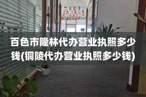 百色市隆林代办营业执照多少钱(铜陵代办营业执照多少钱)