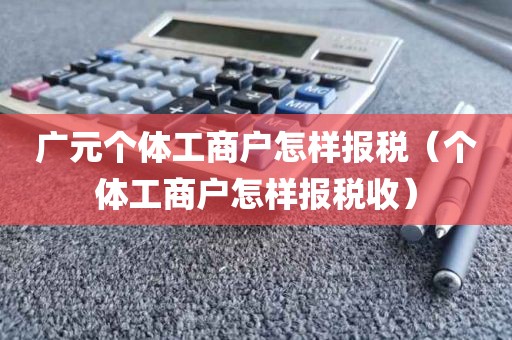广元个体工商户怎样报税（个体工商户怎样报税收）