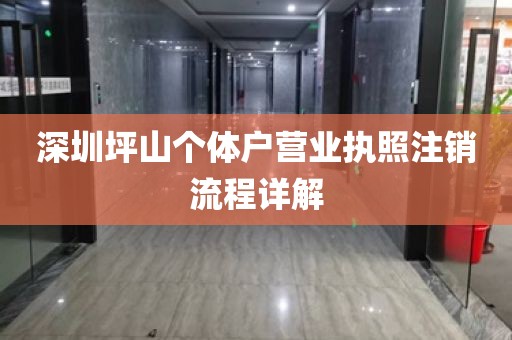 深圳坪山个体户营业执照注销流程详解