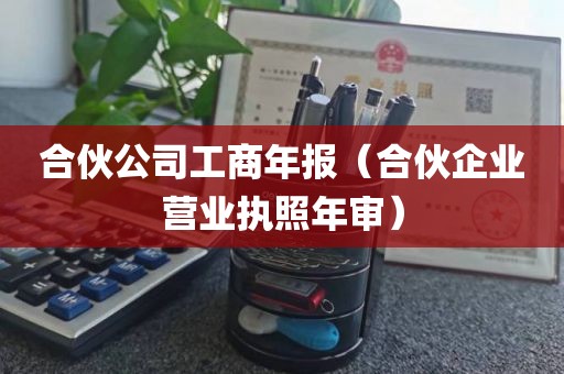 合伙公司工商年报（合伙企业营业执照年审）