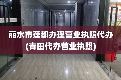 丽水市莲都办理营业执照代办(青田代办营业执照)
