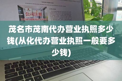 茂名市茂南代办营业执照多少钱(从化代办营业执照一般要多少钱)