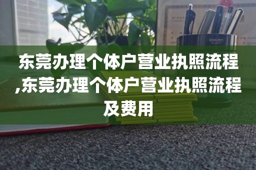 东莞办理个体户营业执照流程,东莞办理个体户营业执照流程及费用