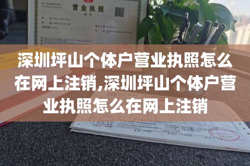 深圳坪山个体户营业执照怎么在网上注销,深圳坪山个体户营业执照怎么在网上注销