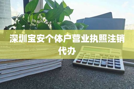 深圳宝安个体户营业执照注销代办