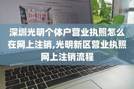 深圳光明个体户营业执照怎么在网上注销,光明新区营业执照网上注销流程