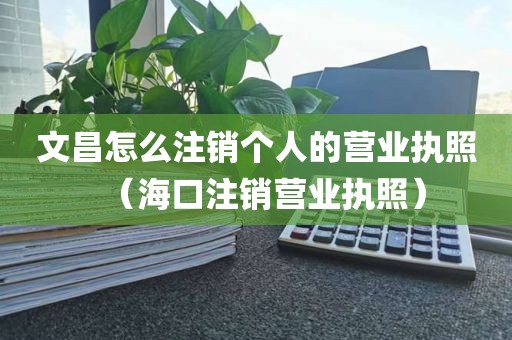 文昌怎么注销个人的营业执照（海口注销营业执照）