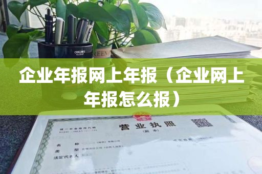 企业年报网上年报（企业网上年报怎么报）