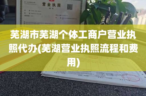 芜湖市芜湖个体工商户营业执照代办(芜湖营业执照流程和费用)