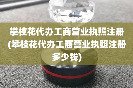 攀枝花代办工商营业执照注册(攀枝花代办工商营业执照注册多少钱)