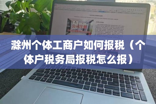 滁州个体工商户如何报税（个体户税务局报税怎么报）