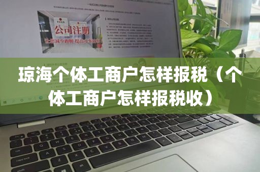 琼海个体工商户怎样报税（个体工商户怎样报税收）